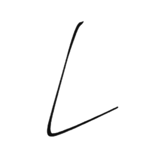 Stylized black letter L drawn with a single brushstroke, representing the Lazy Projects brand logo, set against a transparent background